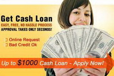 Payday loans pay back in 6 months image 7